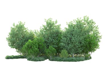 Beyaz arka planda yeşil arazi izole edilmiş. 3d görüntüleme - illüstrasyon