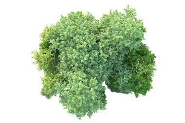 Beyaz arka planda yeşil arazi izole edilmiş. 3d görüntüleme - illüstrasyon