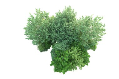 Beyaz arka planda yeşil arazi izole edilmiş. 3d görüntüleme - illüstrasyon