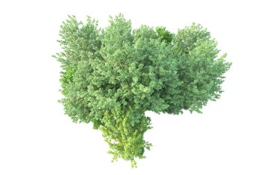 Beyaz arka planda yeşil arazi izole edilmiş. 3d görüntüleme - illüstrasyon