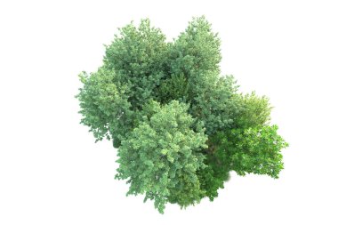 Beyaz arka planda yeşil arazi izole edilmiş. 3d görüntüleme - illüstrasyon