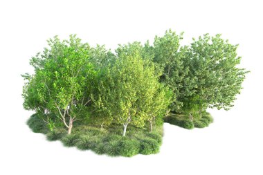 Beyaz arka planda yeşil arazi izole edilmiş. 3d görüntüleme - illüstrasyon