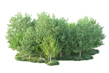 Beyaz arka planda yeşil arazi izole edilmiş. 3d görüntüleme - illüstrasyon