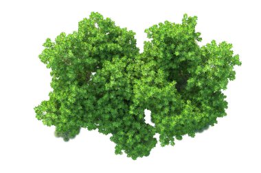 Beyaz arka planda yeşil arazi izole edilmiş. 3d görüntüleme - illüstrasyon