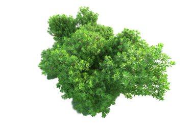 Beyaz arka planda yeşil arazi izole edilmiş. 3d görüntüleme - illüstrasyon