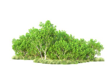 Beyaz arka planda yeşil arazi izole edilmiş. 3d görüntüleme - illüstrasyon