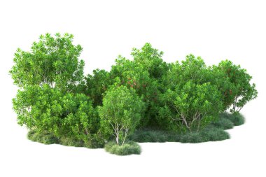 Beyaz arka planda yeşil arazi izole edilmiş. 3d görüntüleme - illüstrasyon