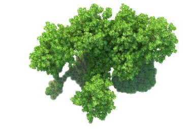 Beyaz arka planda yeşil arazi izole edilmiş. 3d görüntüleme - illüstrasyon