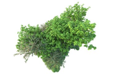 Beyaz arka planda yeşil arazi izole edilmiş. 3d görüntüleme - illüstrasyon