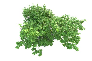 Beyaz arka planda yeşil arazi izole edilmiş. 3d görüntüleme - illüstrasyon