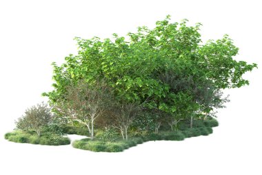 Beyaz arka planda yeşil arazi izole edilmiş. 3d görüntüleme - illüstrasyon