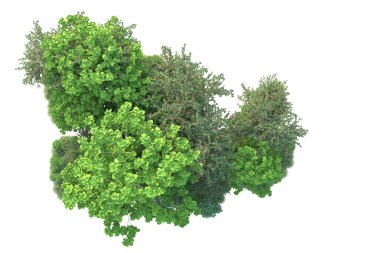 Beyaz arka planda yeşil arazi izole edilmiş. 3d görüntüleme - illüstrasyon