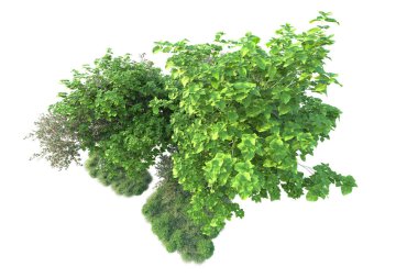 Beyaz arka planda yeşil arazi izole edilmiş. 3d görüntüleme - illüstrasyon