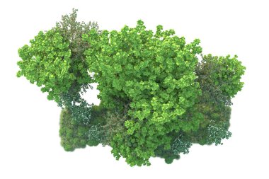 Beyaz arka planda yeşil arazi izole edilmiş. 3d görüntüleme - illüstrasyon