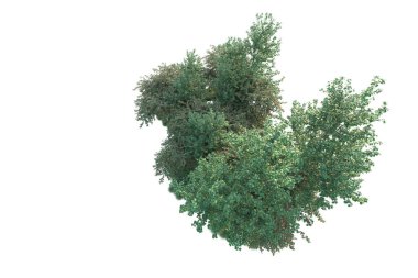 Beyaz arka planda yeşil arazi izole edilmiş. 3d görüntüleme - illüstrasyon