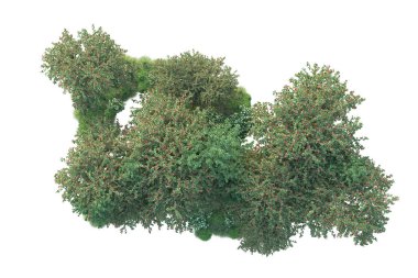 Beyaz arka planda yeşil arazi izole edilmiş. 3d görüntüleme - illüstrasyon