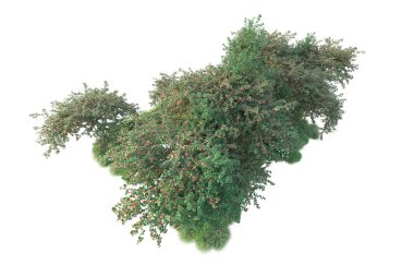 Beyaz arka planda yeşil arazi izole edilmiş. 3d görüntüleme - illüstrasyon