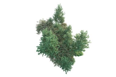 Beyaz arka planda yeşil arazi izole edilmiş. 3d görüntüleme - illüstrasyon