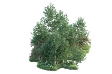 Beyaz arka planda yeşil arazi izole edilmiş. 3d görüntüleme - illüstrasyon