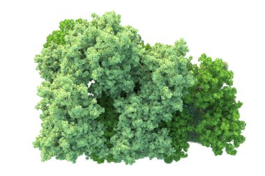 Beyaz arka planda yeşil arazi izole edilmiş. 3d görüntüleme - illüstrasyon