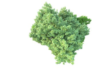 Beyaz arka planda yeşil arazi izole edilmiş. 3d görüntüleme - illüstrasyon