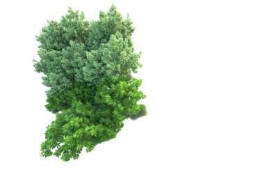 Beyaz arka planda yeşil arazi izole edilmiş. 3d görüntüleme - illüstrasyon