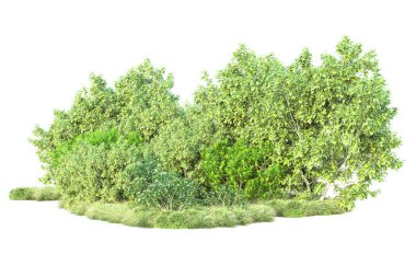 Beyaz arka planda yeşil arazi izole edilmiş. 3d görüntüleme - illüstrasyon