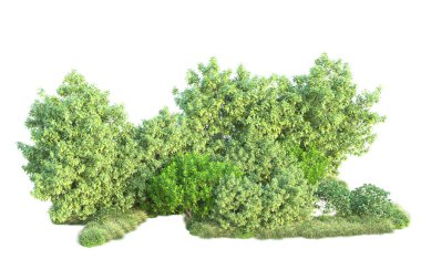 Beyaz arka planda yeşil arazi izole edilmiş. 3d görüntüleme - illüstrasyon