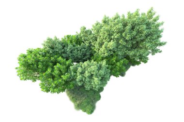 Beyaz arka planda yeşil arazi izole edilmiş. 3d görüntüleme - illüstrasyon