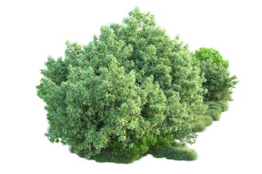 Beyaz arka planda yeşil arazi izole edilmiş. 3d görüntüleme - illüstrasyon