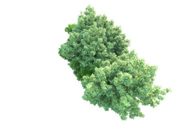 Beyaz arka planda yeşil arazi izole edilmiş. 3d görüntüleme - illüstrasyon