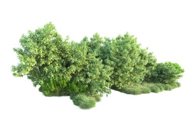 Beyaz arka planda yeşil arazi izole edilmiş. 3d görüntüleme - illüstrasyon