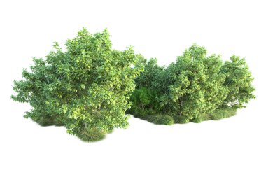 Beyaz arka planda yeşil arazi izole edilmiş. 3d görüntüleme - illüstrasyon