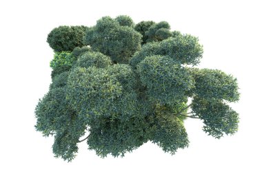 Beyaz arka planda yeşil arazi izole edilmiş. 3d görüntüleme - illüstrasyon