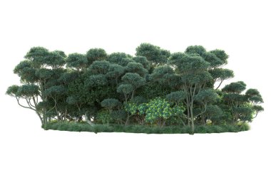 Beyaz arka planda yeşil arazi izole edilmiş. 3d görüntüleme - illüstrasyon