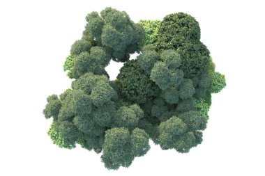 Beyaz arka planda yeşil arazi izole edilmiş. 3d görüntüleme - illüstrasyon