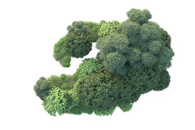 Beyaz arka planda yeşil arazi izole edilmiş. 3d görüntüleme - illüstrasyon