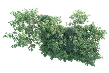 Beyaz arka planda yeşil arazi izole edilmiş. 3d görüntüleme - illüstrasyon