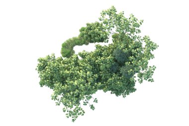 Beyaz arka planda yeşil arazi izole edilmiş. 3d görüntüleme - illüstrasyon