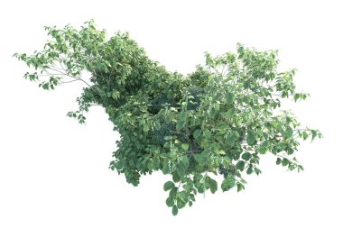 Beyaz arka planda yeşil arazi izole edilmiş. 3d görüntüleme - illüstrasyon