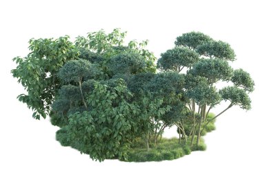 Beyaz arka planda yeşil arazi izole edilmiş. 3d görüntüleme - illüstrasyon