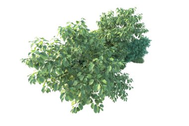 Beyaz arka planda yeşil arazi izole edilmiş. 3d görüntüleme - illüstrasyon