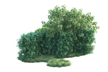 Beyaz arka planda yeşil arazi izole edilmiş. 3d görüntüleme - illüstrasyon