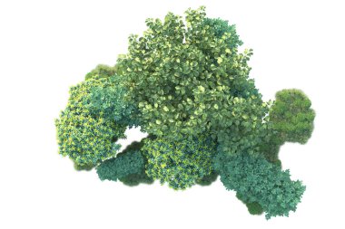 Beyaz arka planda yeşil arazi izole edilmiş. 3d görüntüleme - illüstrasyon