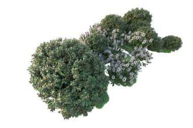 Beyaz arka planda yeşil arazi izole edilmiş. 3d görüntüleme - illüstrasyon