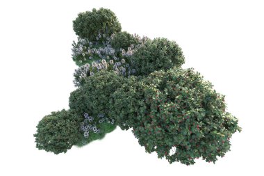 Beyaz arka planda yeşil arazi izole edilmiş. 3d görüntüleme - illüstrasyon