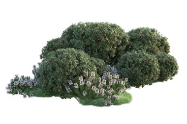 Beyaz arka planda yeşil arazi izole edilmiş. 3d görüntüleme - illüstrasyon