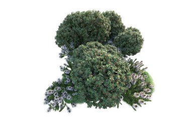 Beyaz arka planda yeşil arazi izole edilmiş. 3d görüntüleme - illüstrasyon