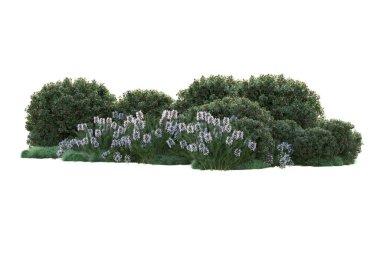 Beyaz arka planda yeşil arazi izole edilmiş. 3d görüntüleme - illüstrasyon