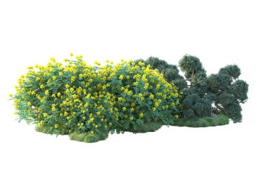 Beyaz arka planda yeşil arazi izole edilmiş. 3d görüntüleme - illüstrasyon